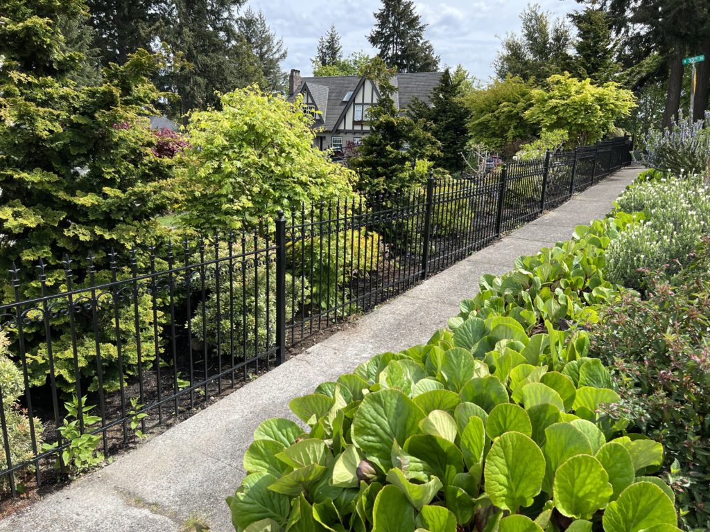 Wrought iron yard fence Tacoma, WA (5)