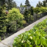 Wrought iron yard fence Tacoma, WA (5)